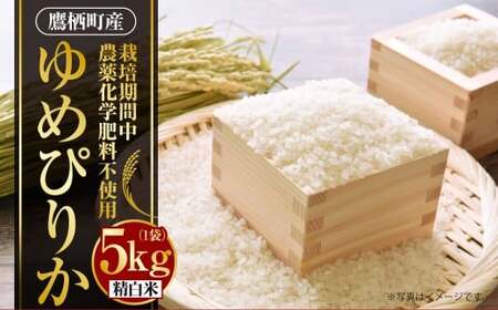 A239 【令和7年産】 ゆめぴりか （ 精白米 ） 栽培期間中農薬化学肥料不使用 5kg たかすタロファーム 北海道 鷹栖町 米 コメ こめ ご飯 お米 白米
