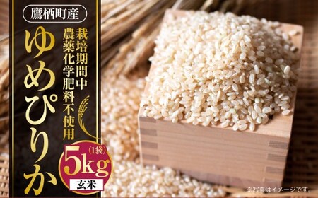 A241 【令和7年産】 ゆめぴりか （ 玄米 ） 栽培期間中農薬化学肥料不使用 5kg たかすタロファーム 北海道 鷹栖町 米 コメ こめ ご飯 お米