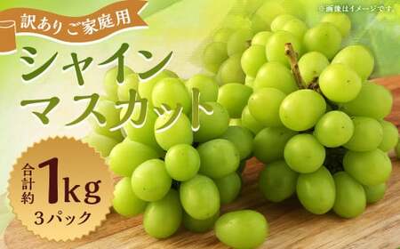 訳あり ご家庭用 シャインマスカット 3パック 約1kg【2026年8月下旬～9月下旬迄発送予定】ぶどう 葡萄 ブドウ 果物 フルーツ