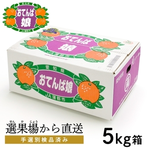 【期間限定】蒲郡みかん「おてんば娘」約５kg_【G0190】