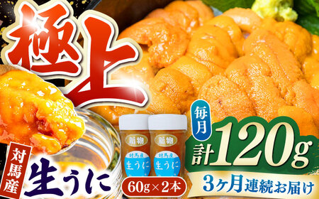 【全3回定期便】 対馬産 生うに 60g×2本 《対馬市》【保家商事】 うに ウニ 雲丹 生ウニ 海鮮 海産物[WAA043]