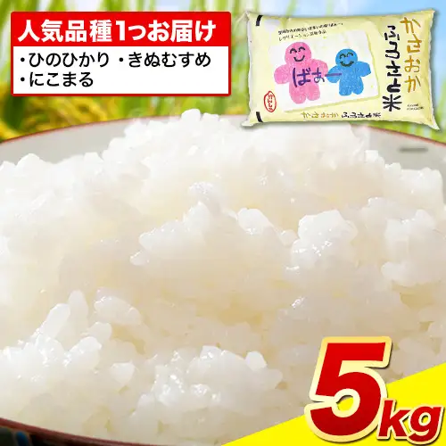 白米【令和8年7月発送】備中笠岡ふるさと米 5kg