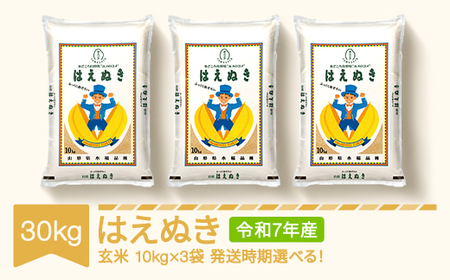 令和7年産 はえぬき 玄米 30kg mk-haxxa30-g