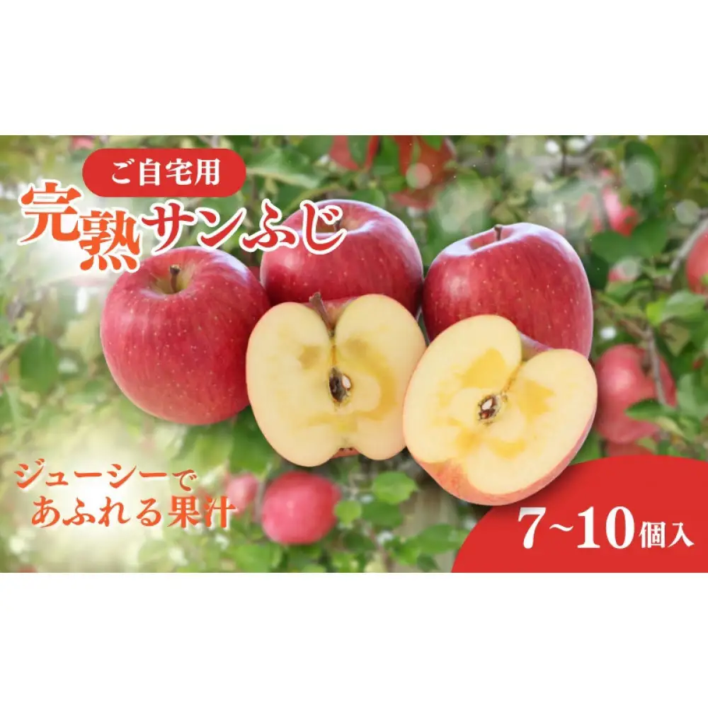 2026年産 ご自宅用 完熟サンふじ 7-10個入り リンゴ フルーツ 果物 デザート 信州 長野市 | リンゴ
