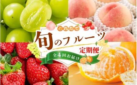 フルーツ フルーツ定期便 桃 シャインマスカット いちご みかん 全4回【kgr038】