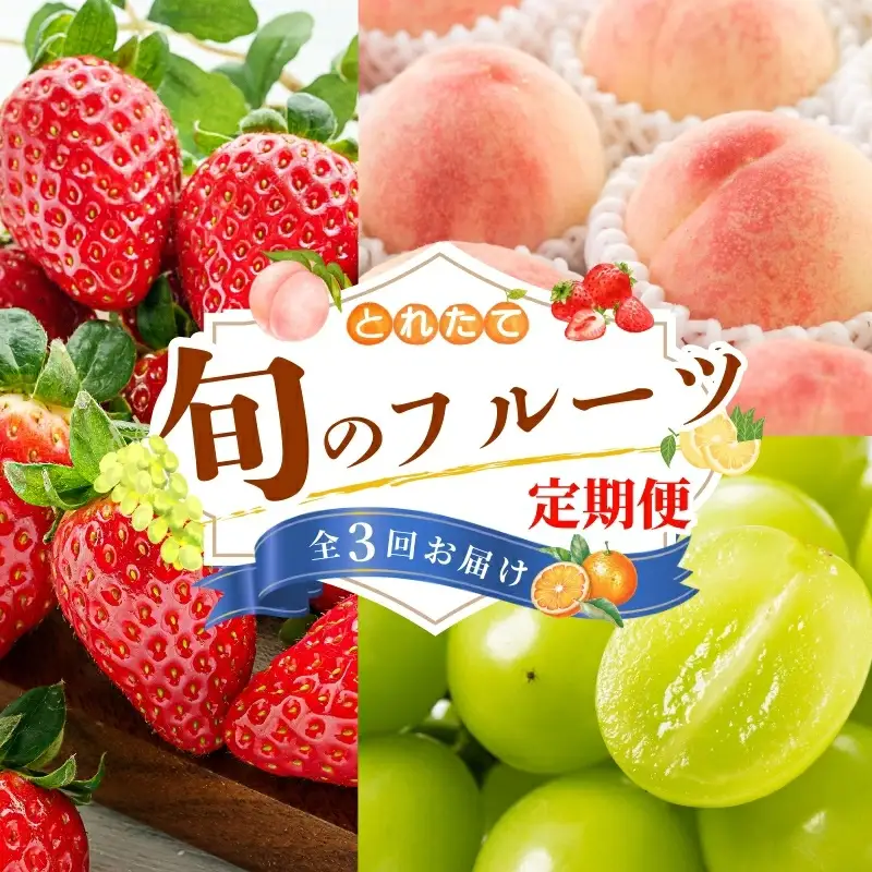 【フルーツ定期便・全3回】品質に自信あり！くしがきの里から直送　桃・シャインマスカット・まりひめを季節ごとにお届け! / 定期便 桃 もも シャインマスカット マスカット いちご イチゴ 苺 果物 フルーツ 3回【kgr530-ku3】