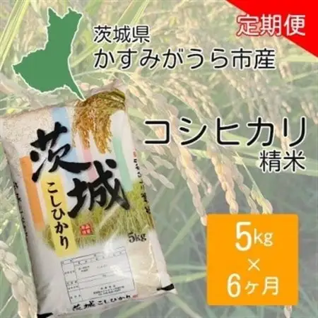 【毎月定期便】茨城県かすみがうら市産　精米　コシヒカリ5kg全6回【4076523】