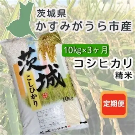 【毎月定期便】茨城県かすみがうら産　精米　コシヒカリ10kg全3回【4076524】
