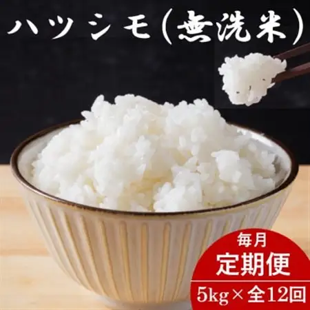 【毎月定期便】岐阜県産ハツシモ(無洗米) 5kg全12回【配送不可地域：離島】【4076380】