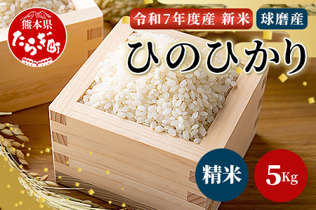 【令和7年度産米】球磨産 ひのひかり 精米 5kg お米 ヒノヒカリ お米 白米 036-0180