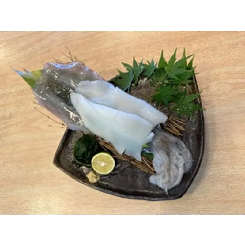 京都・久美浜産 アオリイカの姿造り｜イカ