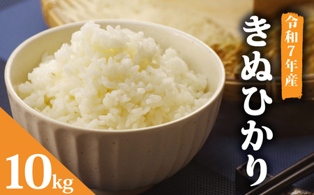 令和7年産  米 キヌヒカリ 10kg お米 きぬひかり 米