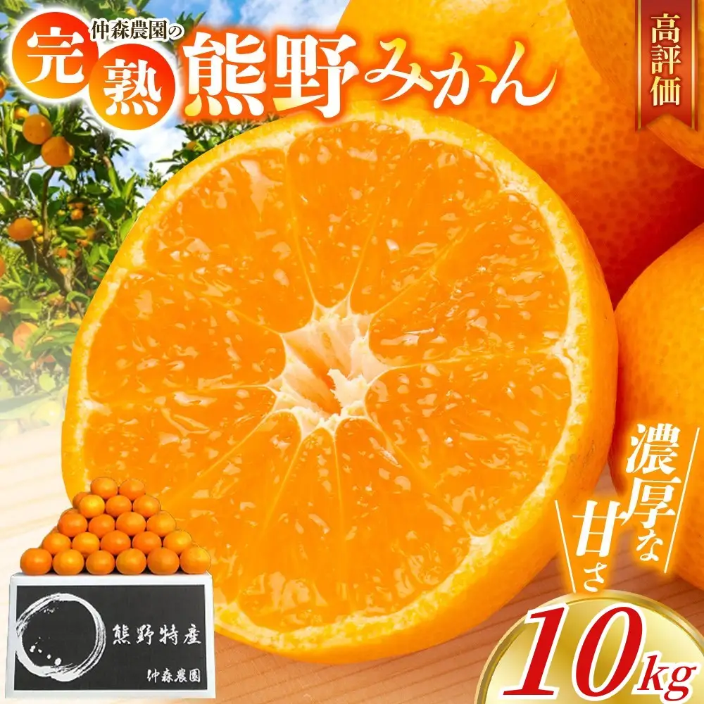 みかん 完熟 熊野みかん 10kg【nkmr0002A】