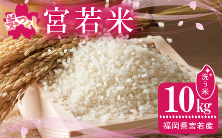 令和7年産 夢つくし 精米 10kg [M895-4] ごはん コメ ご飯 精米 白米 ブランド米