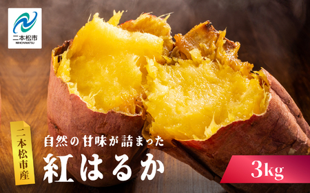 さつまいも 紅はるか 3kg ｜さつまいも【株式会社橋本】