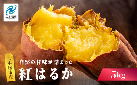 さつまいも 紅はるか 5kg ｜さつまいも【株式会社橋本】