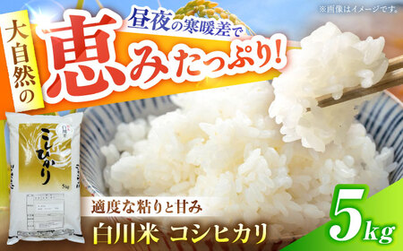 令和7年産 コシヒカリ 5kg 白川町 / 白川町農業開発[AWAH030]