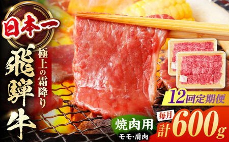 【12回定期便】飛騨牛 焼肉用赤身 600g 白川町 / 浅井商店[AWBJ014] 飛騨牛