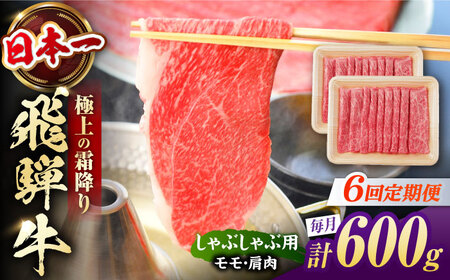 【6回定期便】飛騨牛 牛しゃぶ用赤身 600g 白川町 / 浅井商店[AWBJ019] 飛騨牛