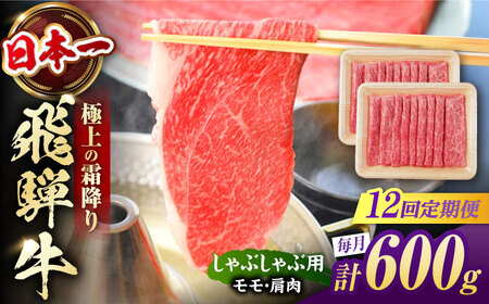 【12回定期便】飛騨牛 牛しゃぶ用赤身 600g 白川町 / 浅井商店[AWBJ020] 飛騨牛