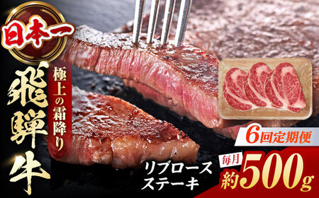 【6回定期便】飛騨牛 ステーキ用計500g 白川町 / 浅井商店[AWBJ031] 飛騨牛