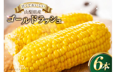とうもろこし ゴールドラッシュ 6本 [さとう農園 山梨県 中央市 21471040] トウモロコシ スイートコーン 甘い コーン 野菜 【2026年6月下旬～7月下旬発送予定】