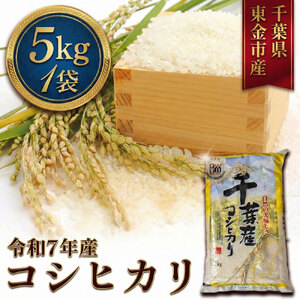 令和7年産 コシヒカリ5kg（千葉県東金市産） ／ 米 お米 こしひかり ご飯 香り 粘り 甘味 お弁当 食事 東金市 千葉県