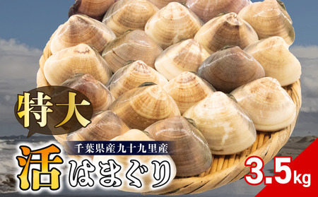 活 はまぐり 約3.5kg (100-140gサイズ) はまぐり 蛤