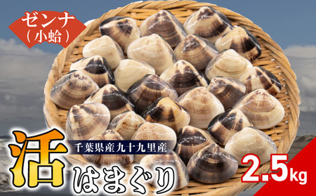 活はまぐり約2.5kg (ゼンナ)_蛤 ハマグリ 海鮮 貝 出汁 だし