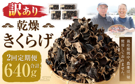 【訳あり】【2ヶ月定期便】 乾燥きくらげ 320g （80g×4パック）×2回 合計640g 熊本県 乾燥 きくらげ キクラゲ 木耳 きのこ キノコ 国産 人吉市産 