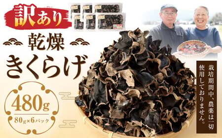 【訳あり】 乾燥きくらげ 480g （80g×6パック） 熊本県 乾燥 きくらげ キクラゲ 木耳 きのこ キノコ 国産 人吉市産