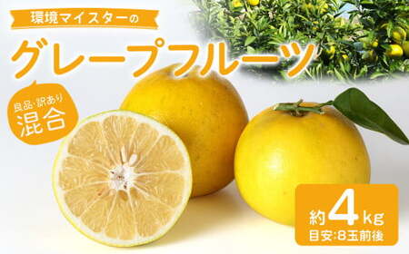 環境マイスターのグレープフルーツ 良品・訳あり混合 4kg （栽培期間中は無肥料・農薬不使用） 【2026年3月下旬～6月上旬迄順次発送予定】