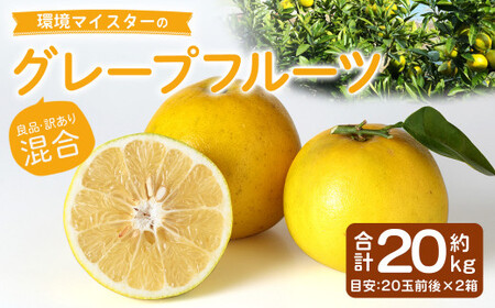 環境マイスターのグレープフルーツ 良品・訳あり混合 20kg （栽培期間中は無肥料・農薬不使用） 果物 くだもの フルーツ グレープフルーツ 柑橘 【2026年3月下旬～6月上旬迄順次発送予定】