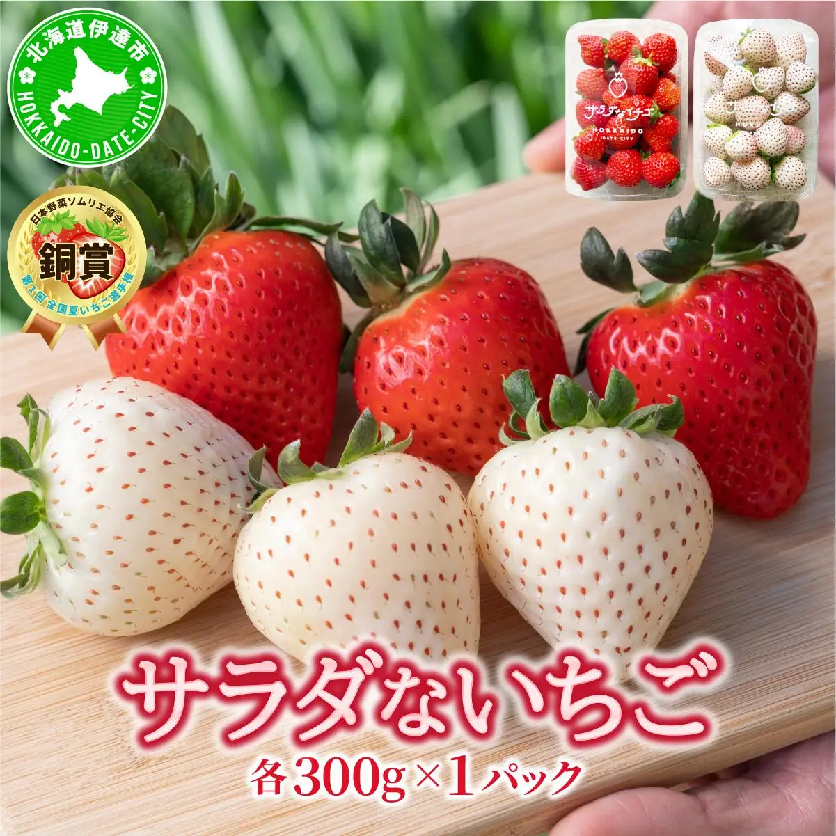＜2026年先行予約＞ サラダないちご（赤・白）ご褒美 苺 最旬 贈答 ギフト プレゼント 果物 フルーツ イチゴ 北海道 伊達【ecg-003】