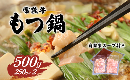 常陸牛 もつ鍋 セット 500g  国産  モツ鍋 常陸牛