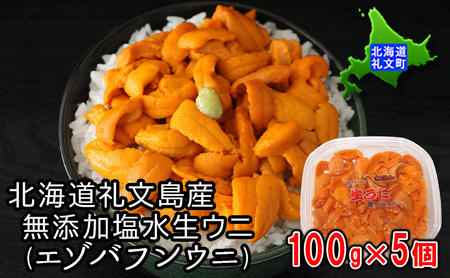 北海道 礼文島産 ミョウバン不使用 塩水ウニ エゾバフンウニ 100g×5パック［野崎水産］【 うに ウニ 雲丹 生うに 塩水うに バフンウニ 素材本来の味 海鮮 うに丼 濃厚 甘み 産地直送 】