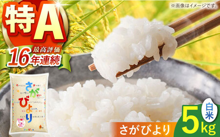さがびより 白米 5kg 【株式会社 JA食糧さが】[HCM013]