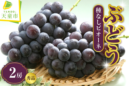 ぶどう ( 種なし ピオーネ ) 1kg フルーツ 果物 山形 08-01-014