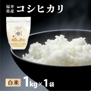 【定期便3回】コシヒカリ 1kg 令和7年産[095-t3-a001]