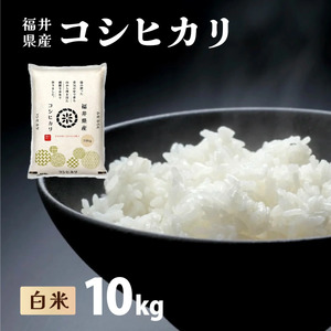 【定期便3回】コシヒカリ 10kg（10kg×1）令和7年産[095-t3-a003] 