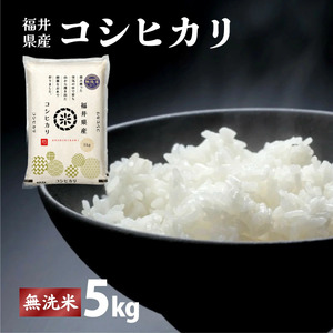 コシヒカリ 無洗米 5kg（5kg×1）令和7年産 [095-a014]