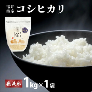 【定期便3回】コシヒカリ 無洗米 1kg 令和7年産 [095-t3-a013] 