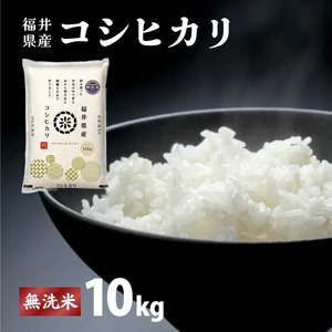 【定期便3回】コシヒカリ 無洗米 10kg（10kg×1）[095-t3-a015]