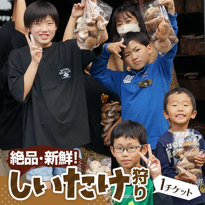 【★絶品・新鮮★しいたけ狩り！】もぎたてを焼いて試食もできるしいたけ狩り！ファミリー・女性・カップルに◎♪ ／ 体験チケット 収穫体験 椎茸 シイタケ ハウス 雨天可 山口県 No.207