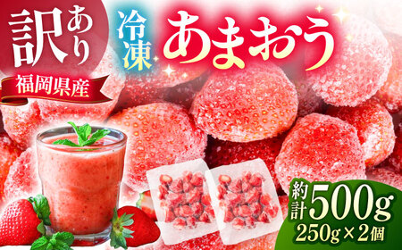 【訳あり】福岡県産 冷凍あまおう500g(250g×2個) [VEG011]いちご 苺 イチゴ 取り寄せ