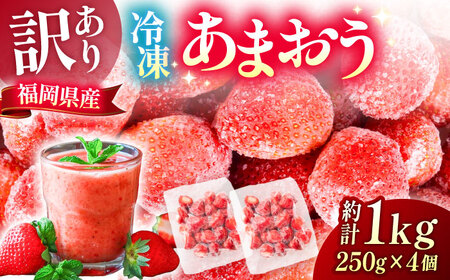 【訳あり】福岡県産 冷凍あまおう 1kg (250g×4個) [VEG012] いちご 苺 イチゴ 取り寄せ