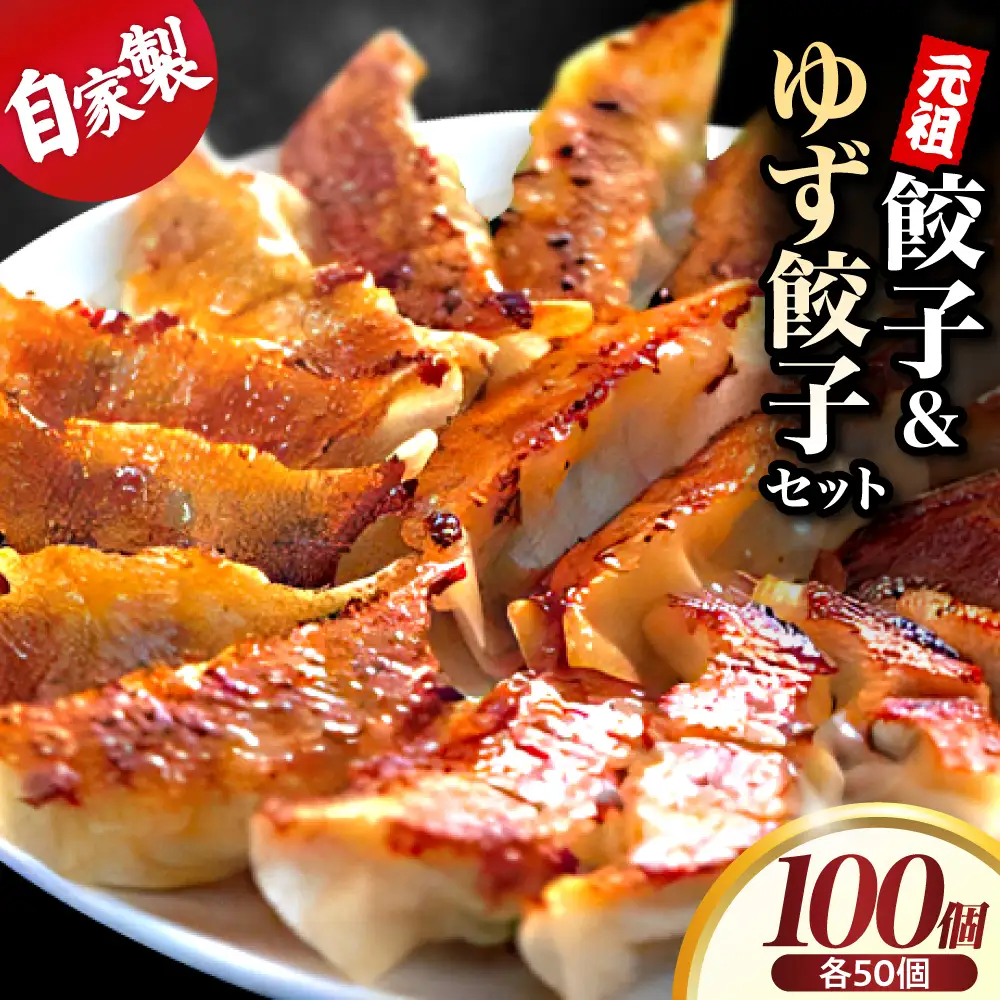 ゆず餃子と元祖プレーン餃子の手作り2種盛冷凍餃子50個入り ２セット