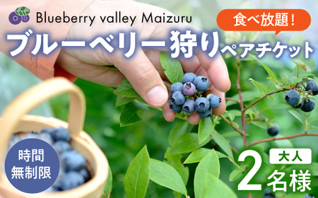 【6月～8月】 ブルーベリー狩り ペアチケット 【時間無制限・食べ放題】