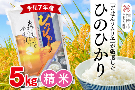 【令和7年産】ごはんソムリエが厳選 白米 ひのひかり 5kg(H063155)
