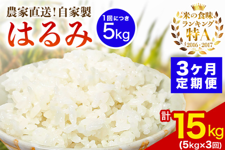 [定期便／3ヶ月連続 ][令和7年産] 伊勢原産 精米5kg はるみ 農家直送！加藤さんちのうんめぇ！自家製米｜お米 おこめ コメ 白米 神奈川 伊勢原 ブランド米 [0739]